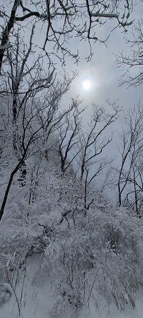 디지털 관광주민증 발급