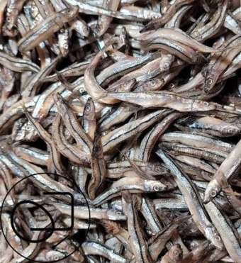 멸치 효능 부작용