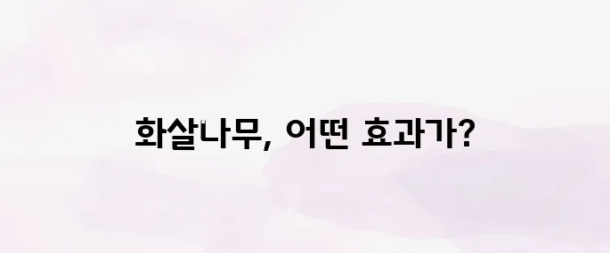 화살나무 효능 및 복용 시 주의사항 정리