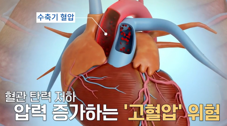 아르기닌의 효능