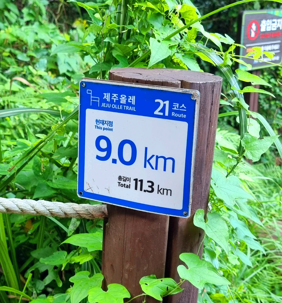 제주올레21코스 현재지점 9km