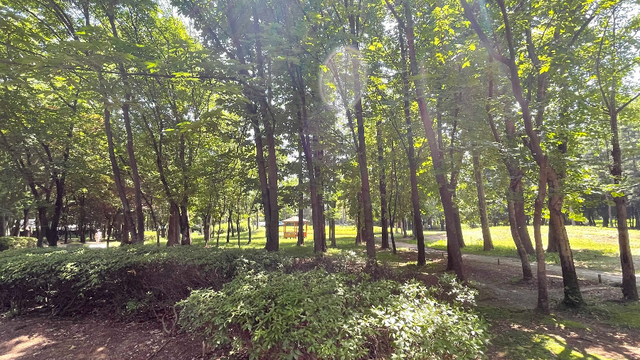 양재(매헌)시민의 숲 나들이 휴게소와 매점