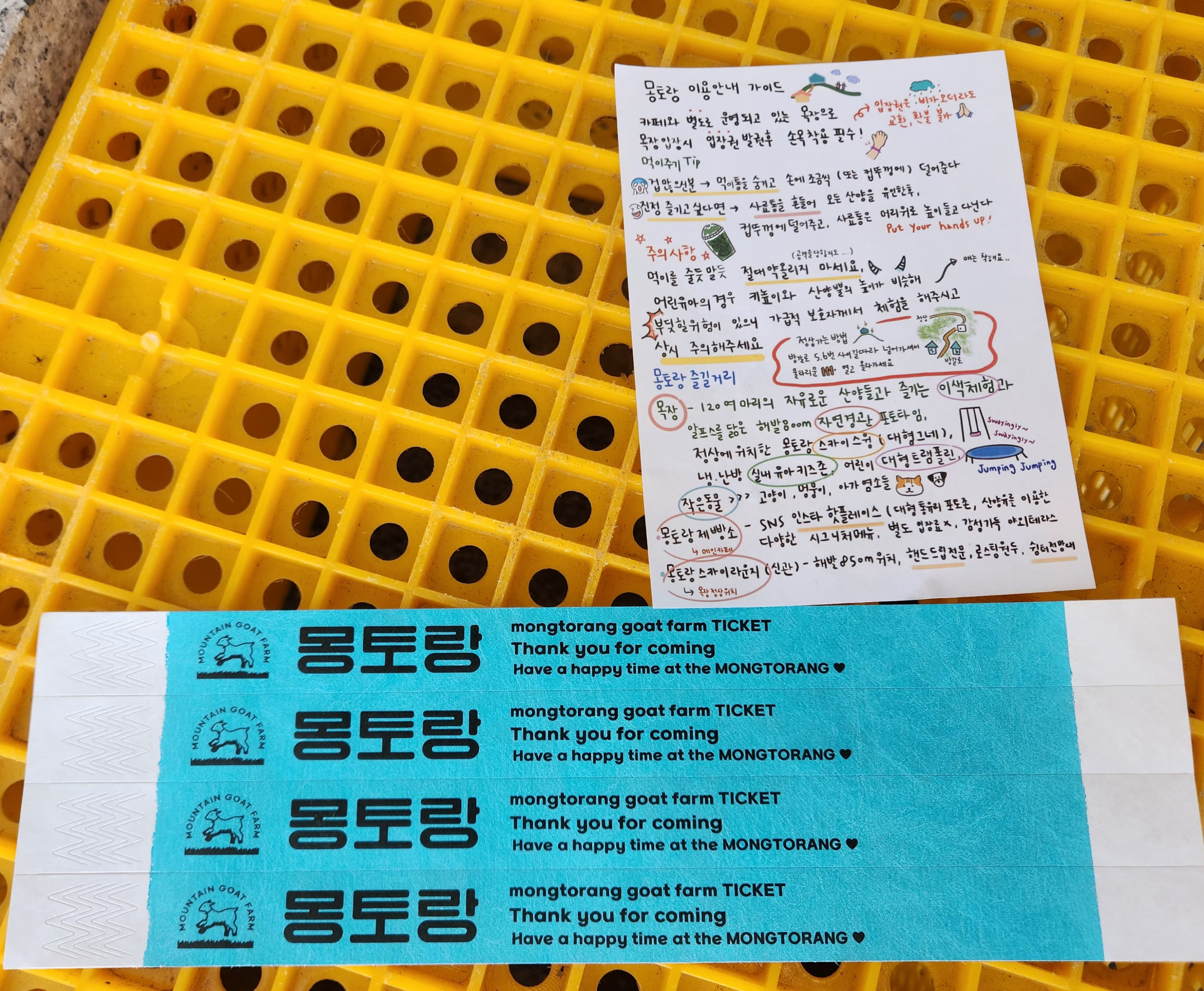몽토랑입장권