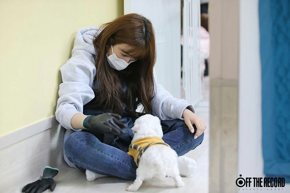 아이즈원 야부키나코 아이즈원 야부키나코