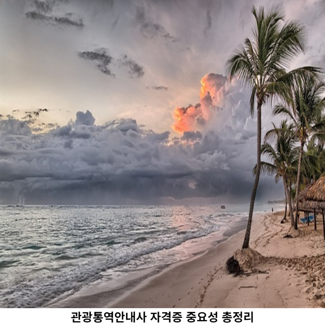 자격증 취득 방법