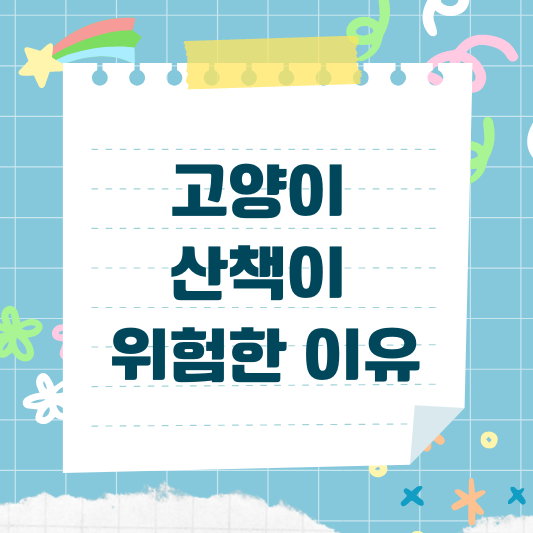 고양이 산책