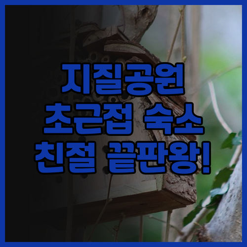 윈양 산리홍 호텔 후기 룽강 지질공원..