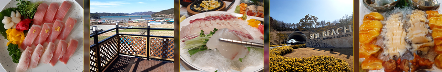 진도 맛집, 진도 여행, 진도 쏠비치, 진도횟집, 진도 1박2일 먹방 코스, 진도 회포장, 진도 바닷가 식당, 진도 가족여행 식사, 진도 감성 맛집