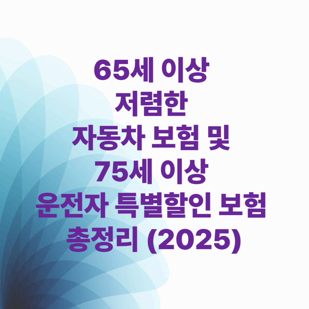 65세 이상 저렴한 자동차 보험 및 75세 이상 운전자 특별할인 보험 총정리 (2025)