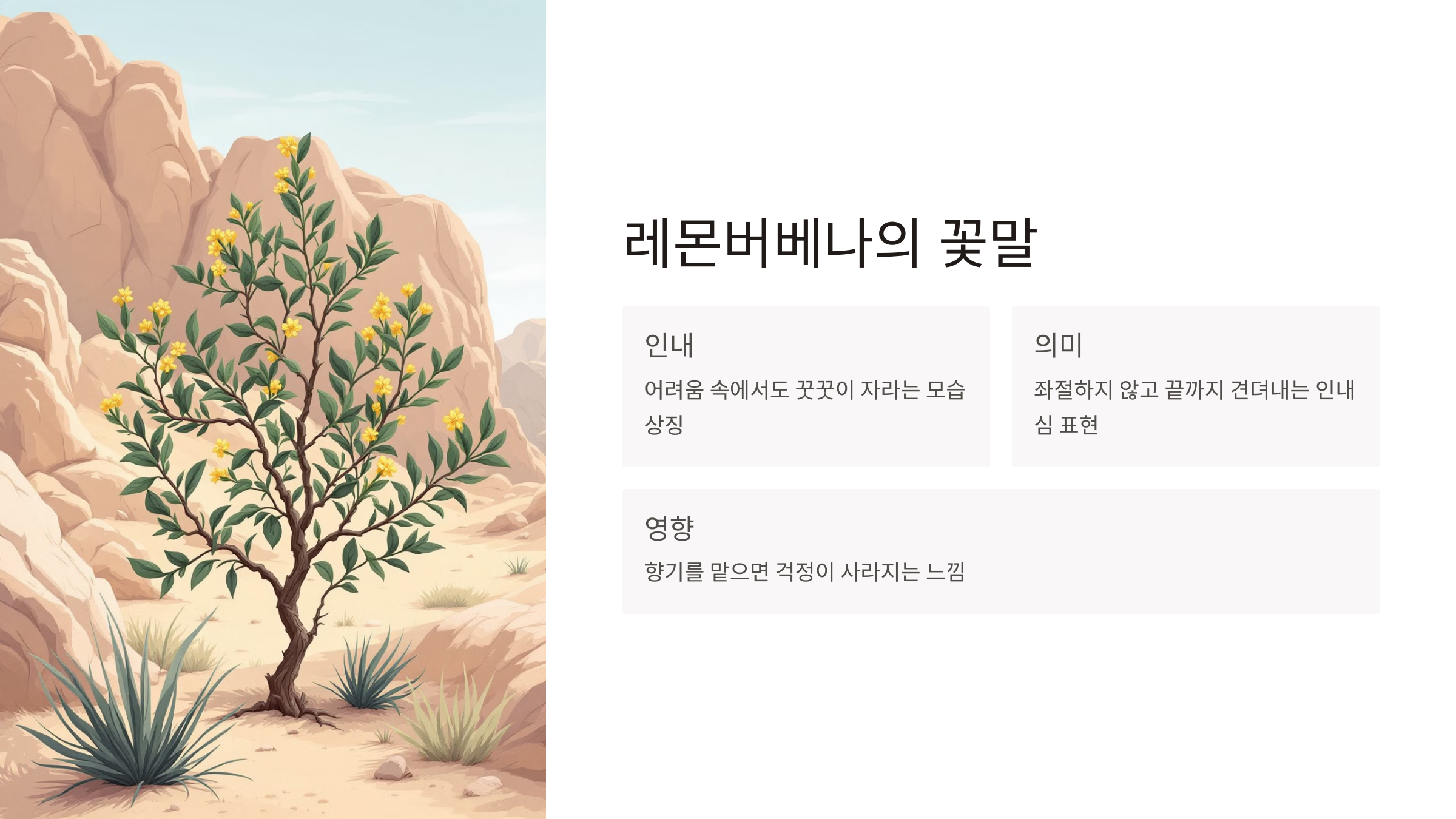 11월 13일의 탄생화