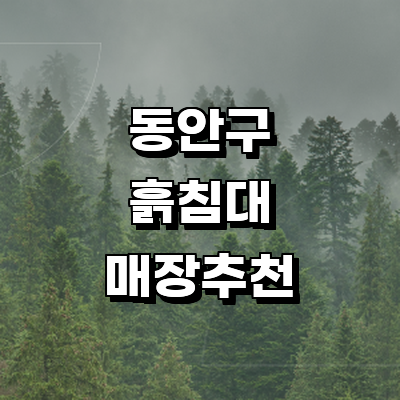 안양 동안구 흙침대