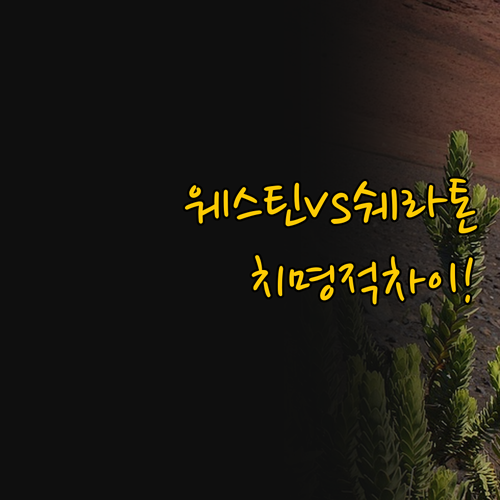 웨스틴 vs 쉐라톤 마우이 당신이 몰..