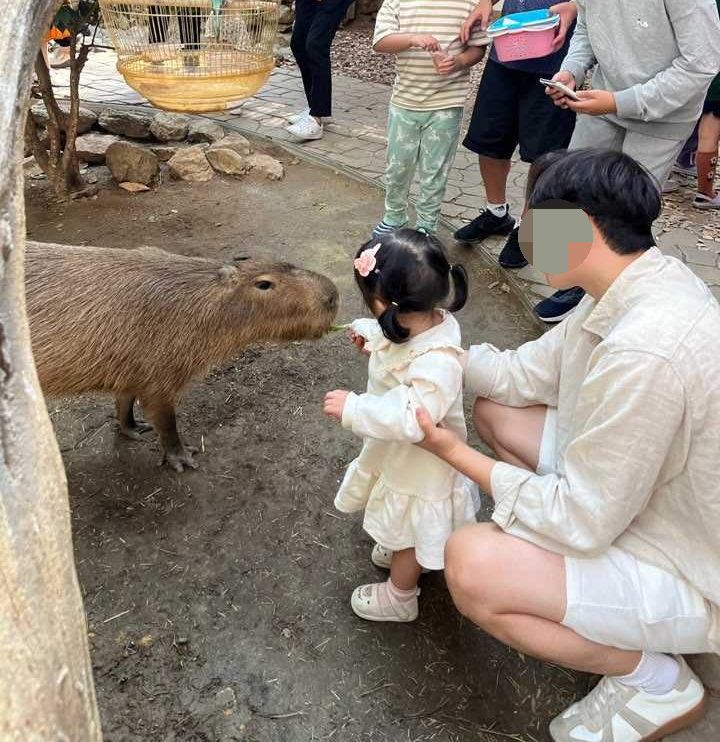 네이처파크 먹이주기