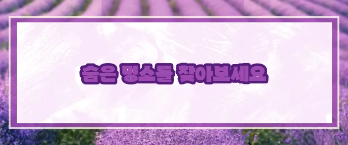이천 가볼만한곳 베스트10 2025 (+힐링여행)