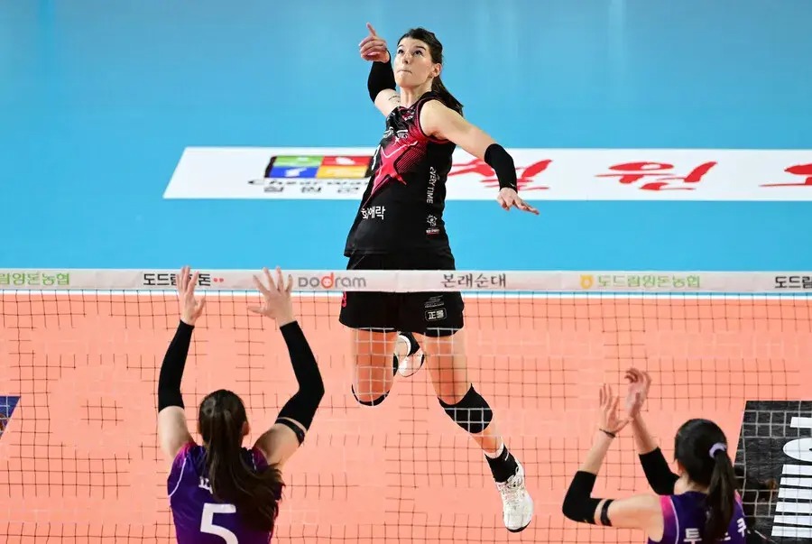 정관장의 반격 vs 흥국생명의 자존심&hellip; V리그 챔피언결정전 대미 장식