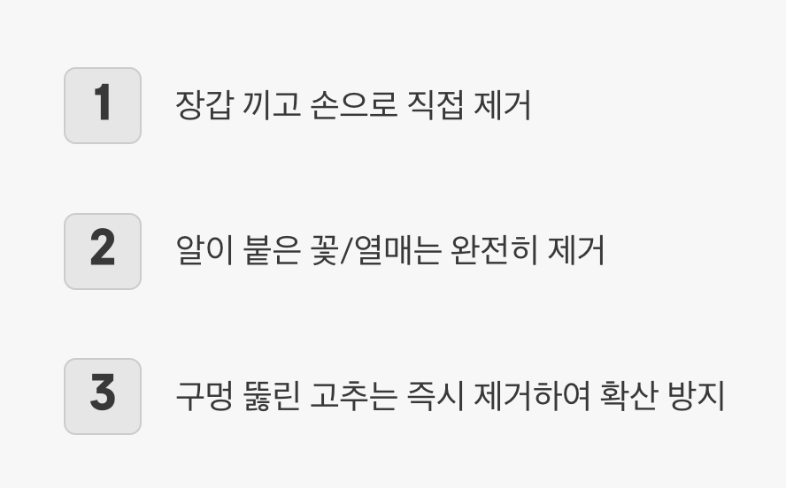 4. 가장 확실한 방법&amp;#44; 물리적 제거