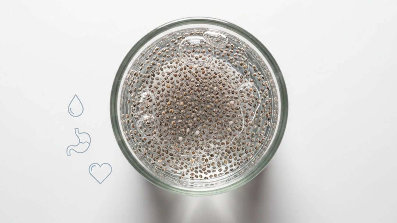 치아씨의 영양과 건강 효능