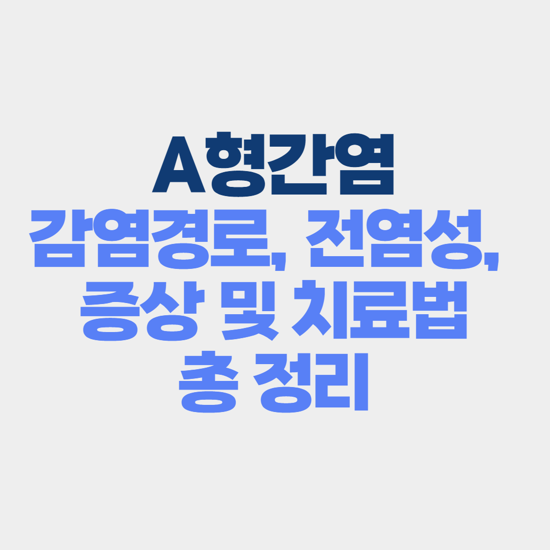 A형간염 총정리