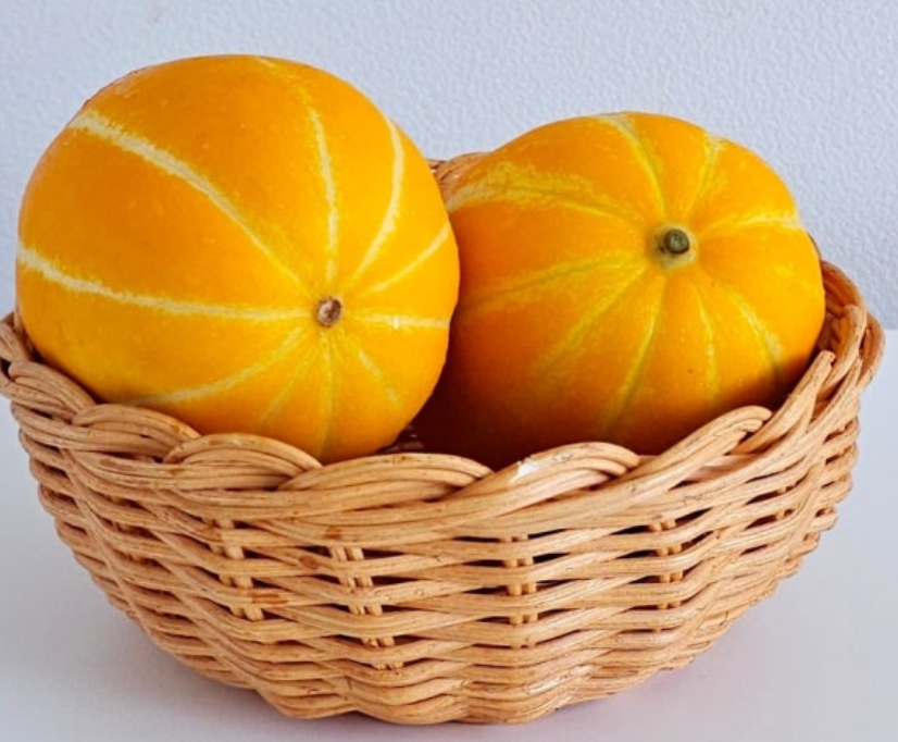 참외-효능-부작용-하루-섭취량-관련-사진