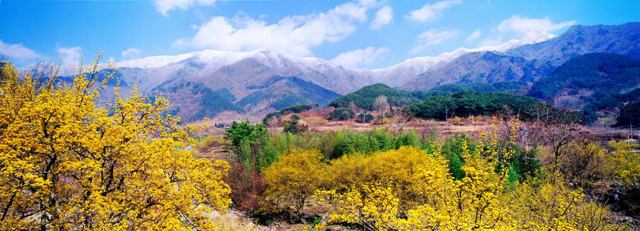 지리산 대표경관