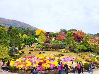 서울근교 가볼만한곳 베스트 10 추천 여행지_18