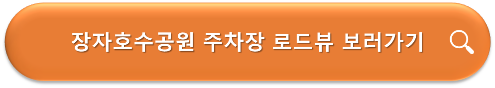 장자호수공원 주차장 로드뷰