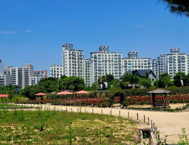 나리공원 전경