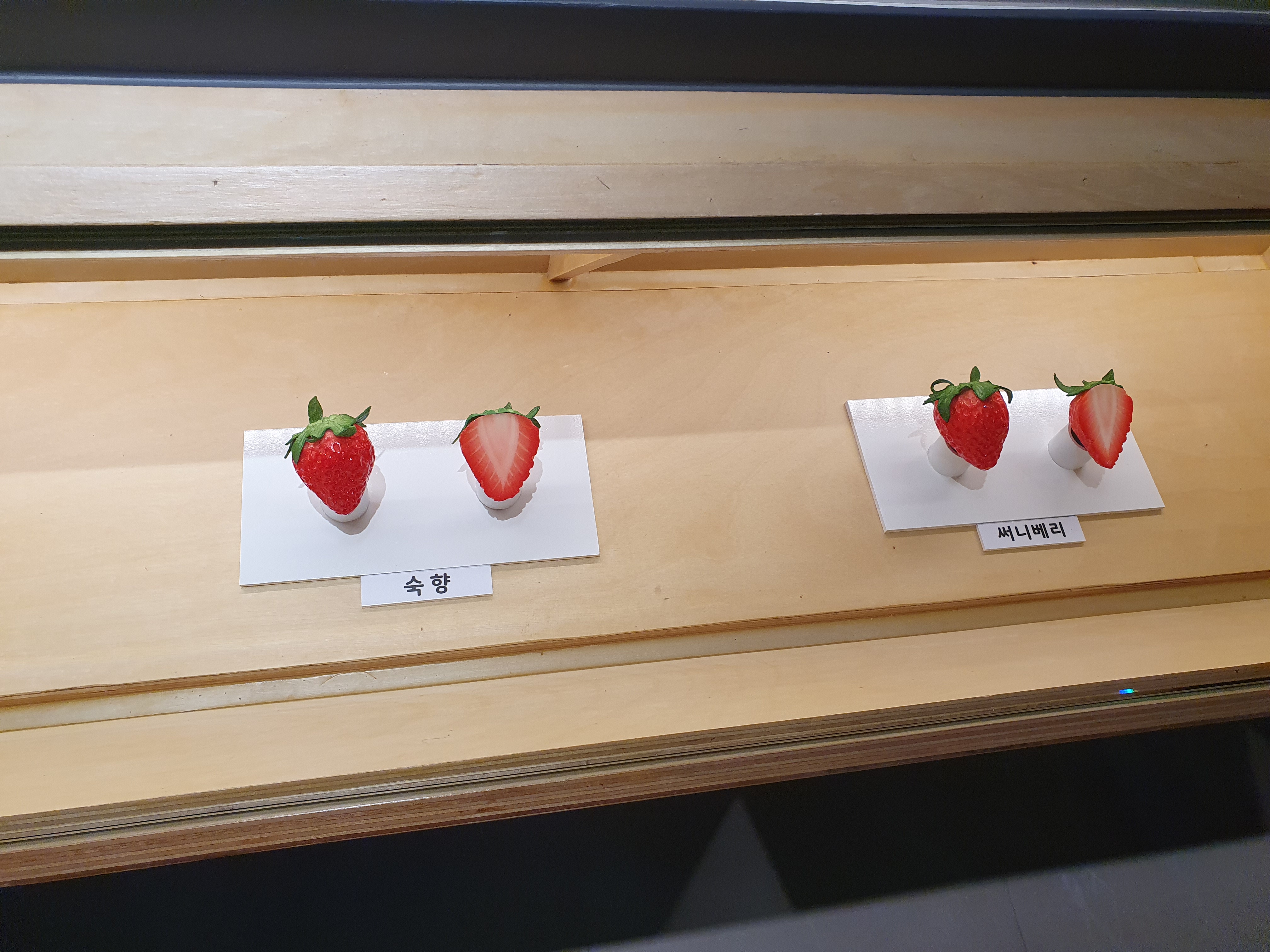 논산 딸기테마관 우리나라 딸기 품종별 모양3