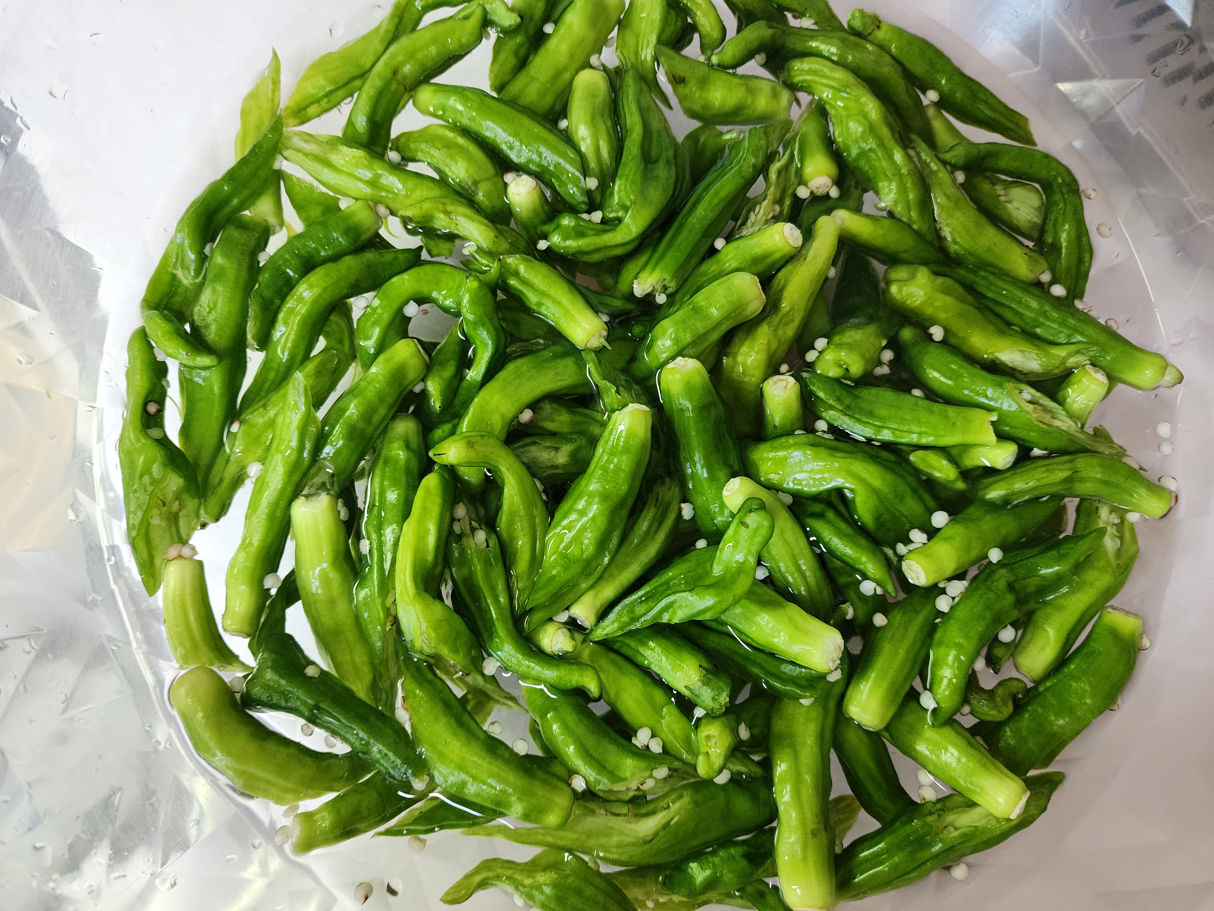 꽈리고추 멸치볶음 맛있게 만드는법