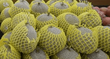 포장된 멜론이 마트 진열대에 진열되어있는 장면