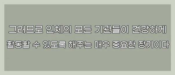  그러므로 인체의 모든 기관들이 건강하게 활동할 수 있도록 해주는 매우 중요한 장기이다