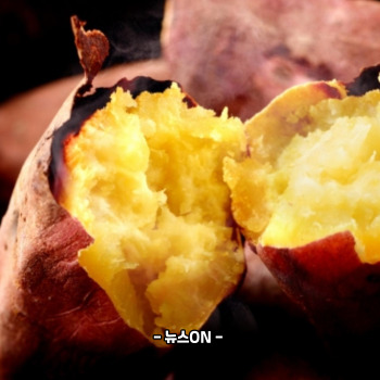 칼륨이 많은 음식