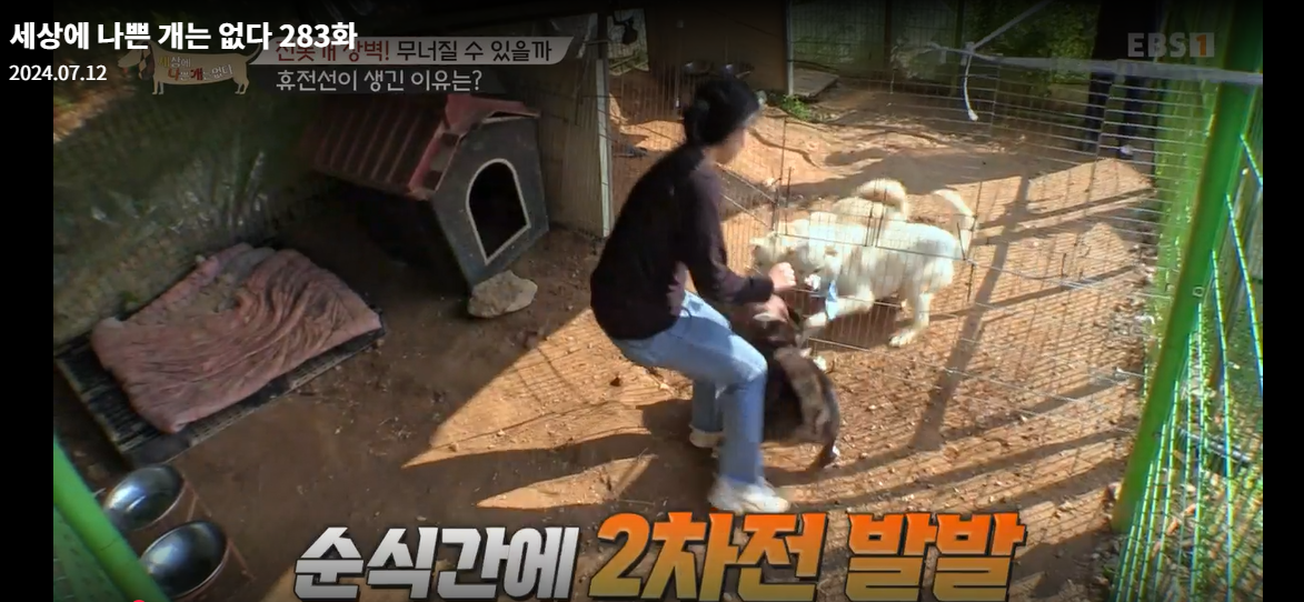 설채현-세상에나쁜개는없다-세나개-283화-진돗개장벽-재방송