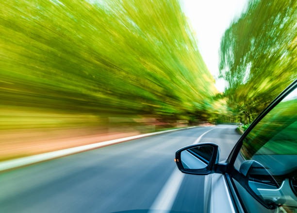 815-사면-대상자-확인