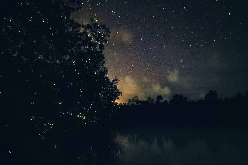 출처:하나투어&amp;#44; 코타키나발루