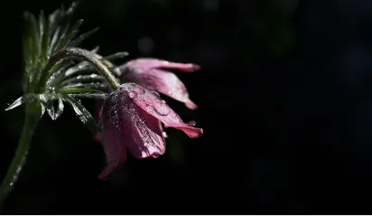 내 지역 장마기간 조회