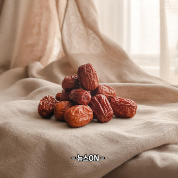 사과대추 말리기