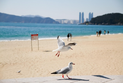 부산 여행 필수 코스! 꼭 먹어봐야 할 부산 음식 BEST