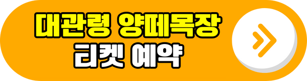 대관령 양떼목장 티켓 예약 바로가기