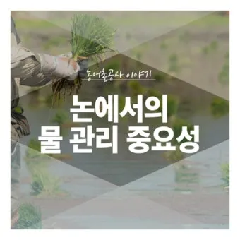 농사 물 관리 비가림 설치 배수로 정비 가뭄 대비 빗물 저장_24