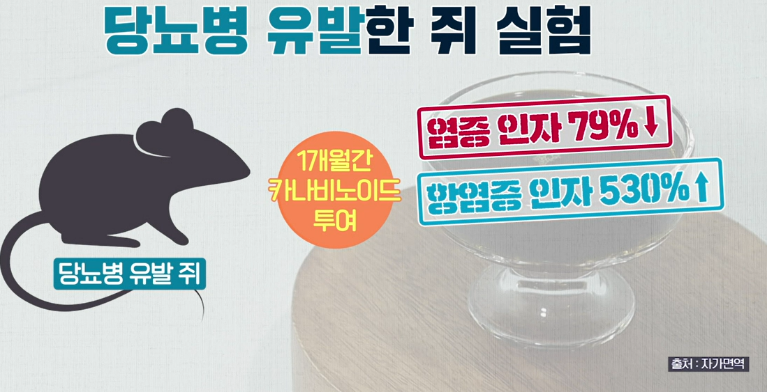 대마종자유 효능