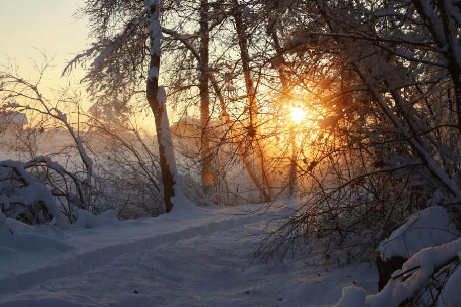 겨울 달빛 산책 여행