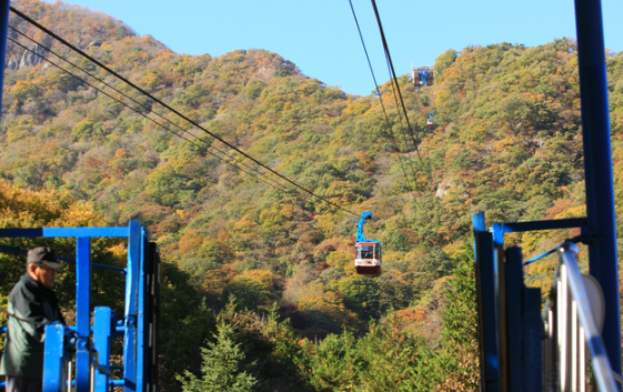 2025년 내장산 케이블카 요금은 얼마일까요?