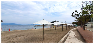 모사금해수욕장