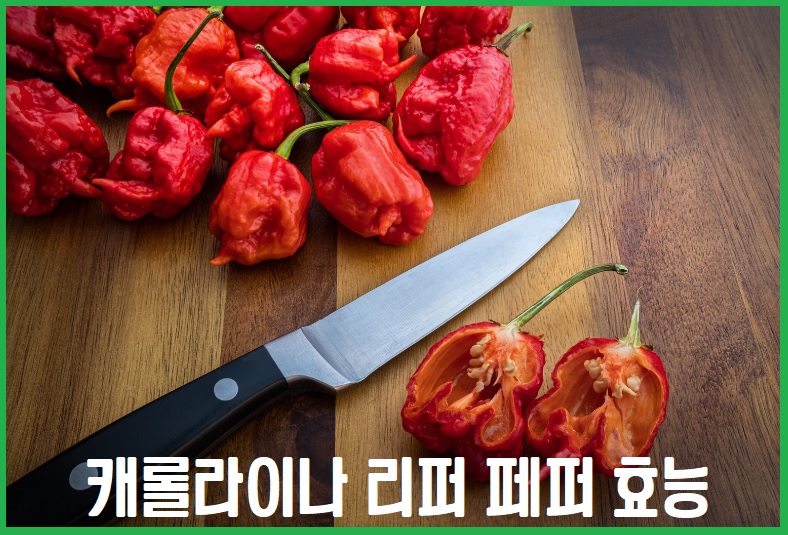 캐롤라이나 리퍼 페퍼