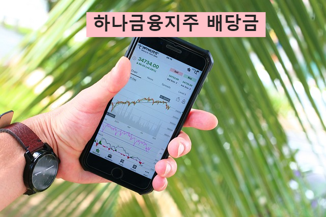 하나금융지주 배당금