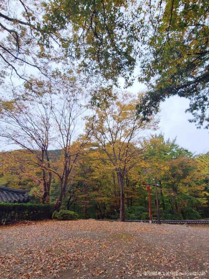 포항 가볼만한곳 베스트 10