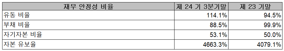 (주)드림텍 재무 안정성 비율