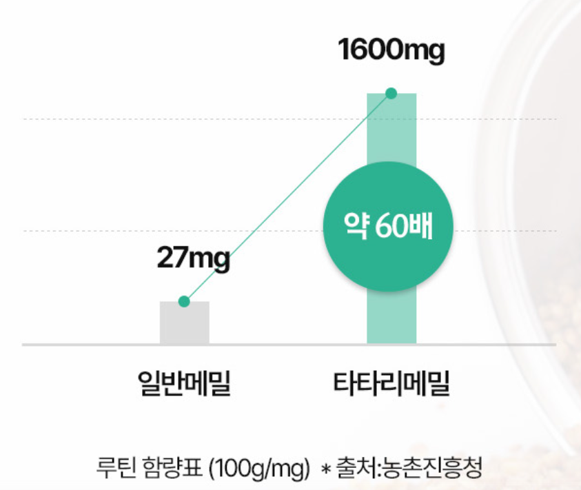 일반메밀 vs 타타리메밀