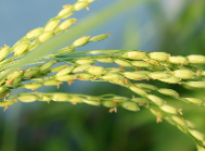 025년 농식품바우처 신청 방법 총정리!